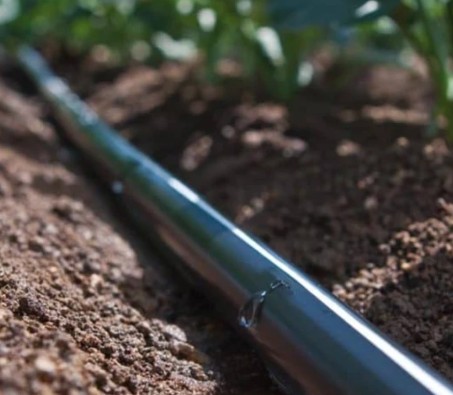 Irrigation Rivulis